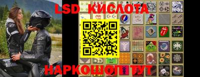 ПСИЛОЦИБИНОВЫЕ ГРИБЫ Баксан