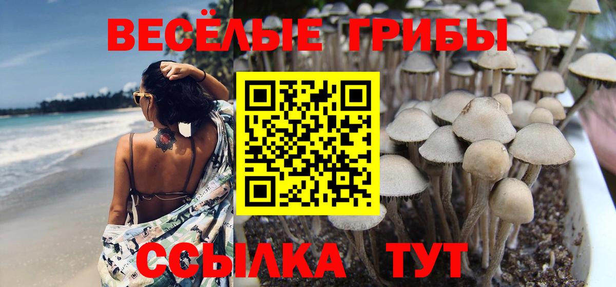 Галлюциногенные грибы Psilocybine cubensis  Вход с VPN  где купить наркоту  Арсеньев 